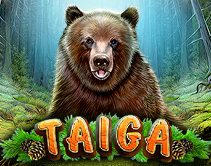 Taiga Taiga